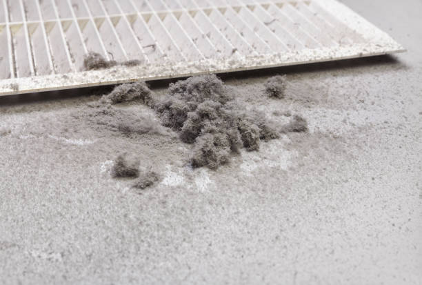 Best Commercial Air Duct Cleaning  in Hayti, MO