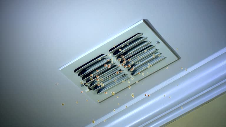 Best HVAC System Cleaning  in Hayti, MO
