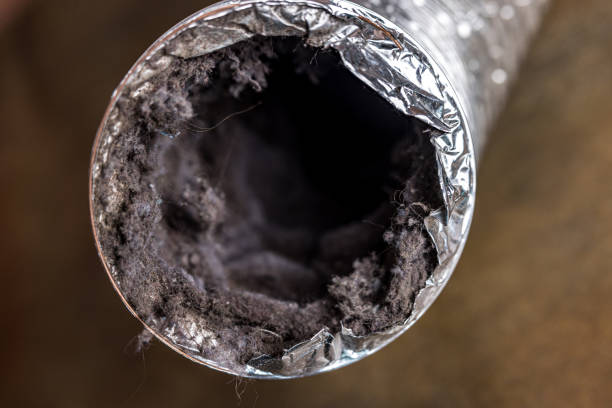 Best Air Duct Sanitizing Services  in Hayti, MO